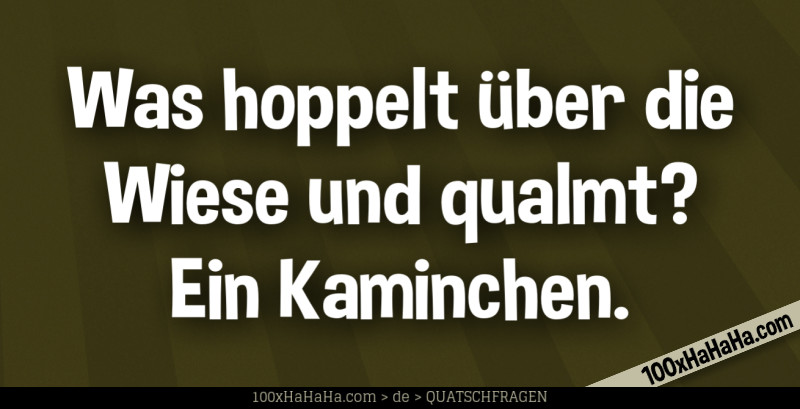 Was hoppelt ueber die Wiese und qualmt? Ein Kaminchen