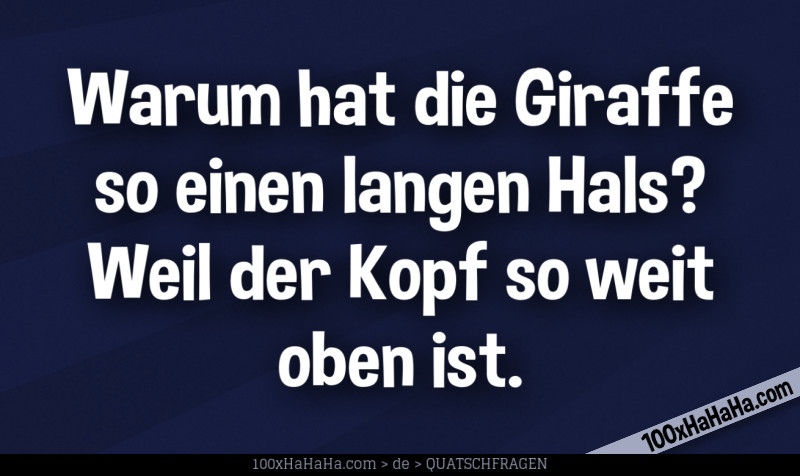 Warum hat die Giraffe so einen langen Hals? Weil der Kopf so weit oben ist