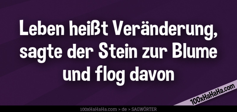 Leben heisst Veraenderung, sagte der Stein zur Blume und flog davon