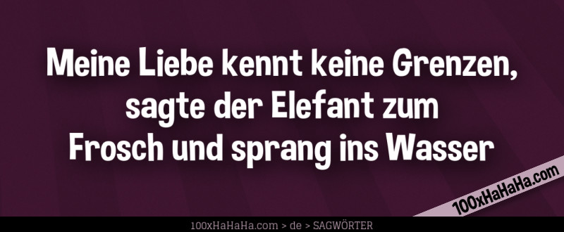 Meine Liebe kennt keine Grenzen, sagte der Elefant zum Frosch und sprang ins Wasser