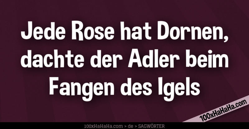 Jede Rose hat Dornen, dachte der Adler beim Fangen des Igels