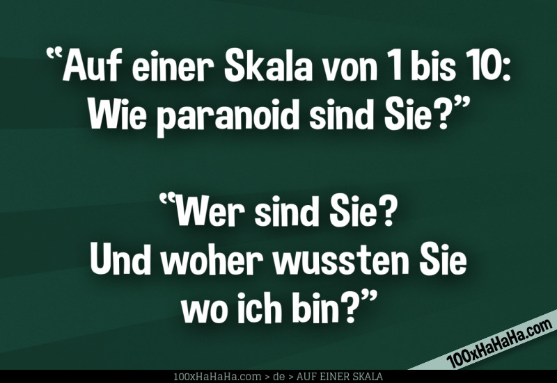 "Auf einer Skala von 1 bis 10: Wie paranoid sind Sie?" —"Wer sind Sie? Und woher wussten Sie wo ich bin?"