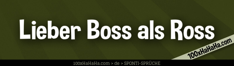 Lieber Boss als Ross