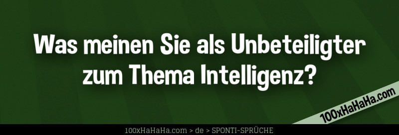 Was meinen Sie als Unbeteiligter zum Thema Intelligenz?