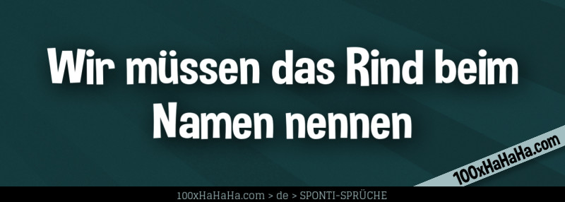 Wir muessen das Rind beim Namen nennen