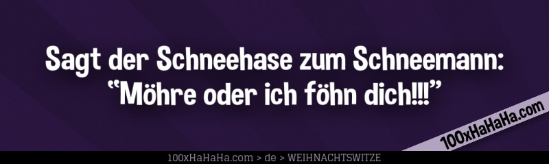 Sagt der Schneehase zum Schneemann: "Moehre oder ich foehn dich!!!"