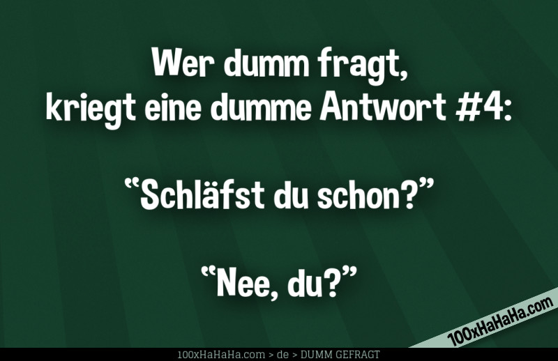 Wer dumm fragt, kriegt eine dumme Antwort #4: / / "Schlaefst du schon?" —"Nee, du?"