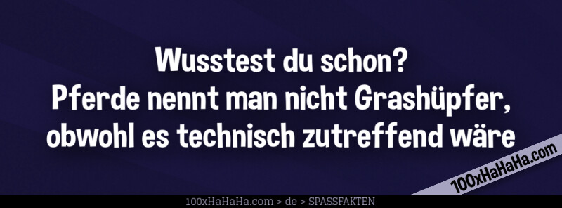 Wusstest du schon? Pferde nennt man nicht Grashuepfer, obwohl es technisch zutreffend waere