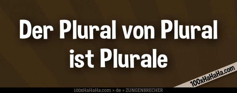 Der Plural von Plural ist Plurale