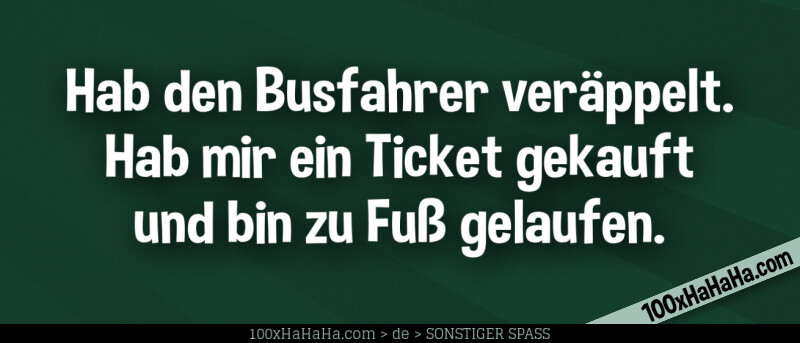 Hab den Busfahrer veraeppelt. Hab mir ein Ticket gekauft und bin zu Fuss gelaufen.