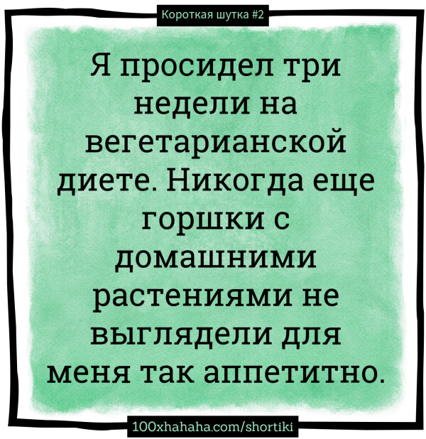 A prosidel tri nedeli na vegetarianskoj diete. Nikogda ese gorshki s domashnimi rastenijami ne vygljadeli dlja menja tak appetitno.