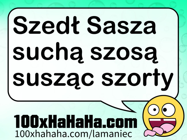Szedl Sasza sucha szosa suszac szorty