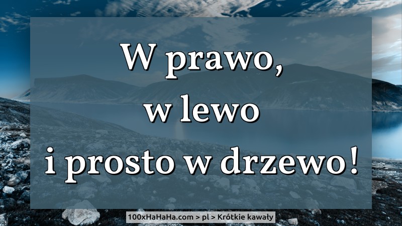 W prawo, / w lewo / i prosto w drzewo!