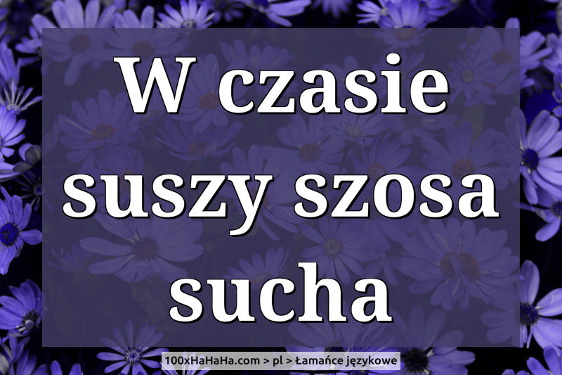 W czasie suszy szosa sucha