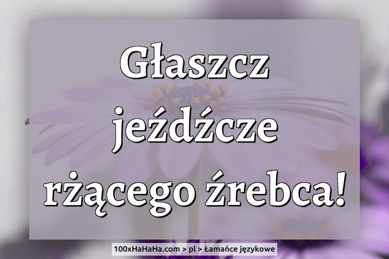 Glaszcz jezdzcze rzacego zrebca!