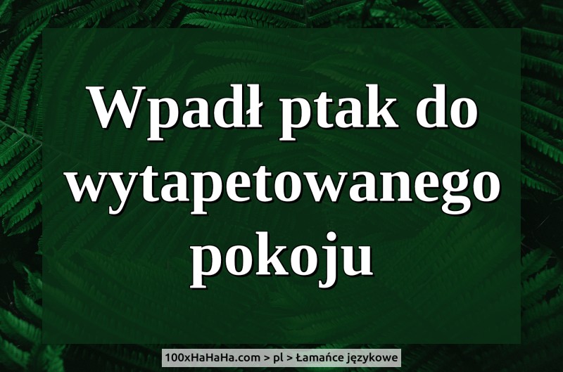Wpadl ptak do wytapetowanego pokoju