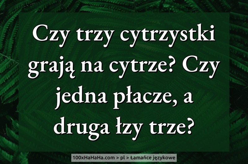 Czy trzy cytrzystki graja na cytrze? Czy jedna placze, a druga lzy trze?
